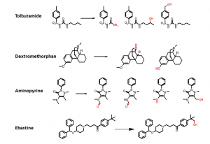 Diagram of chemical reactions for various drugs.