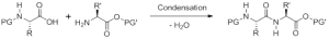 amide bond formation