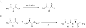 peptide bond formation