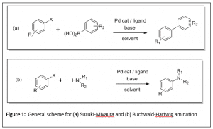 Suzuki-Miyaura and Buchwald-Hartwig amination schemes.