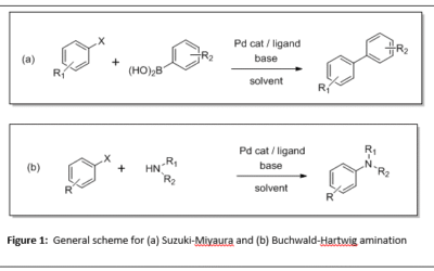 The impact of high-throughput catalyst screening in drug discovery