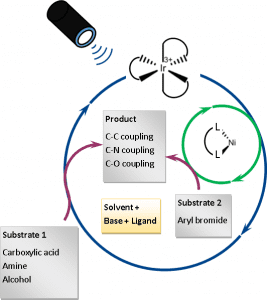 Coupling reaction diagram with substrates and products.