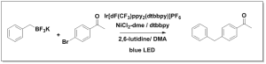 Molander_Lutidine