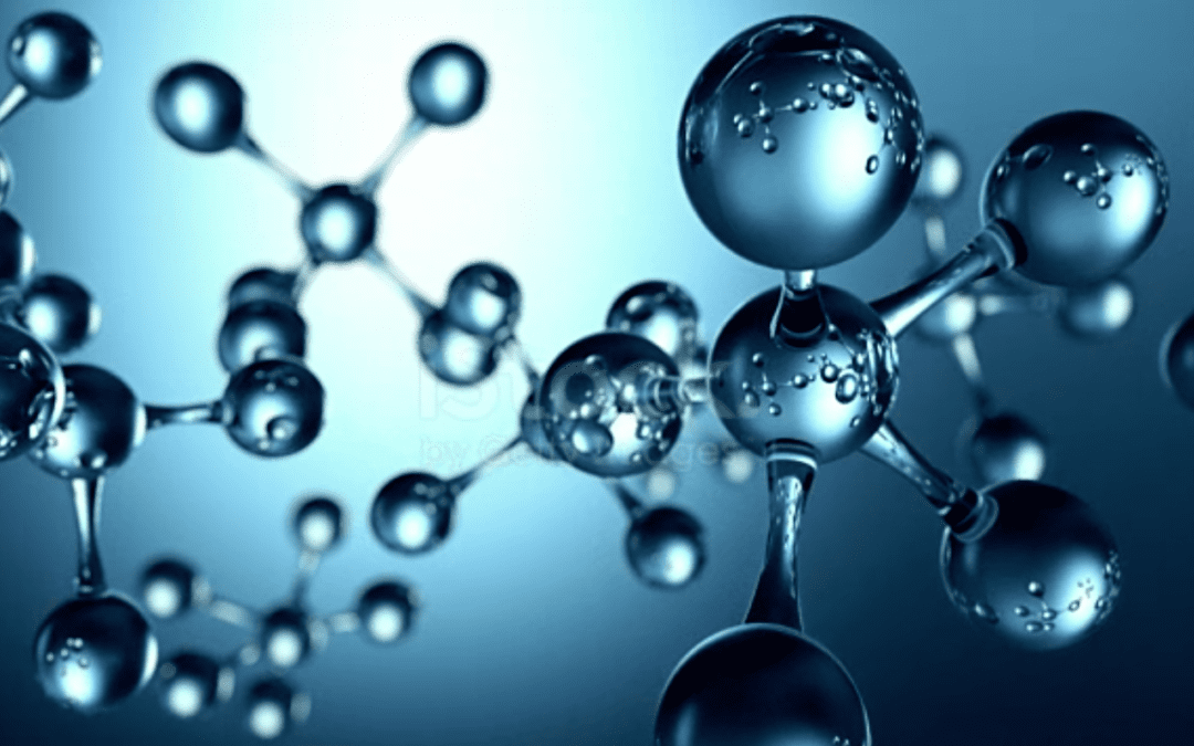 HepatoChem and XenoTech Announce Exclusive Partnership