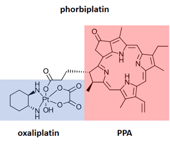 phorbiplatin, an anti-cancer prodrug activated by red light