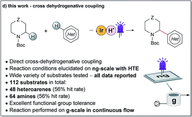 Enabling synthesis in fragment-based drug discovery by reactivity mapping: photoredox-mediated cross-dehydrogenative heteroarylation of cyclic amines