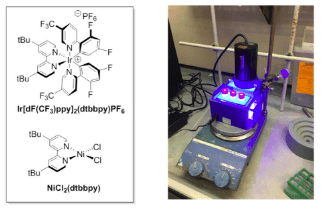 Photoredox Iridium–Nickel Dual-Catalyzed Decarboxylative Arylation Cross-Coupling: From Batch to Continuous Flow via Self-Optimizing Segmented Flow Reactor