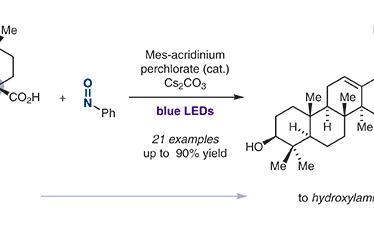 Photoredox Synthesis of Arylhydroxylamines from Carboxylic Acids and Nitrosoarenes