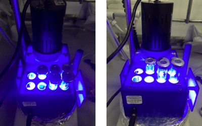 Photoinduced Remote Functionalization of Amides and Amines Using Electrophilic Nitrogen Radicals