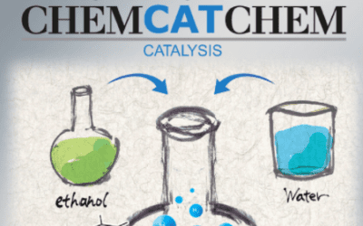 Electrophile, Substrate Functionality, and Catalyst Effects in the Synthesis of α‐Mono and Di‐Substituted Benzylamines via Visible‐Light Photoredox Catalysis in Flow