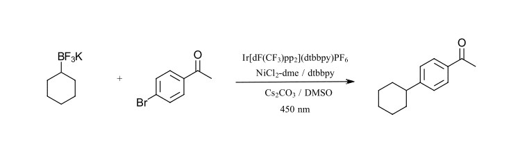 initial photochemistry reactions: C-C cross-coupling with BF3K reagents 