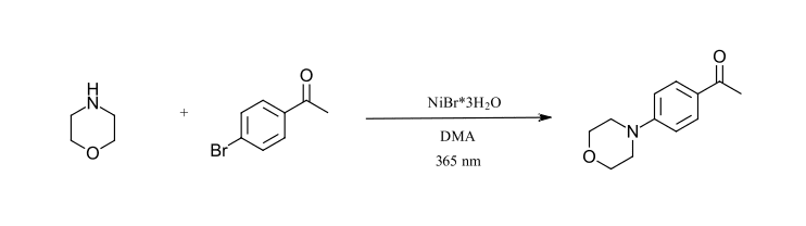 initial photochemistry reactions: C-N Cross-coupling reaction