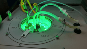 A green light is on the top of a table.