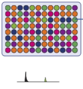 Metabolite Production Kits