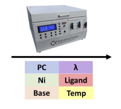 Choose Your Own Adventure (with photoinduced cross-coupling)