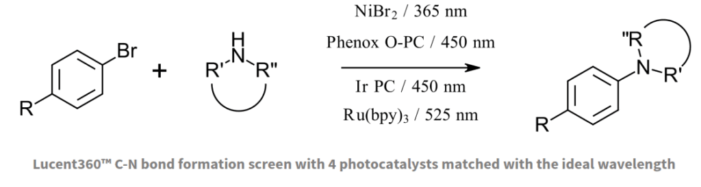 Application Note 4: C-N bond formation wavelength screening