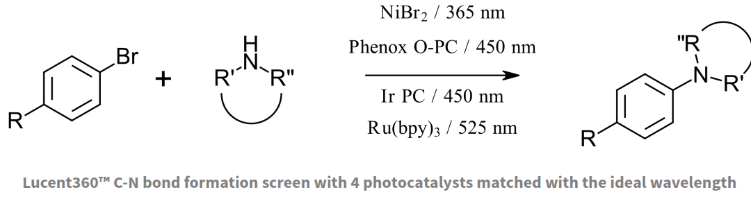 Application Note 4: C-N bond formation wavelength screening