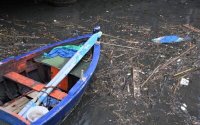 Fenton Boat Photocatalysis:  An Adventure with Iron and Wood