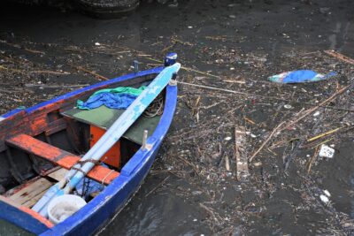 Fenton Boat Photocatalysis:  An Adventure with Iron and Wood