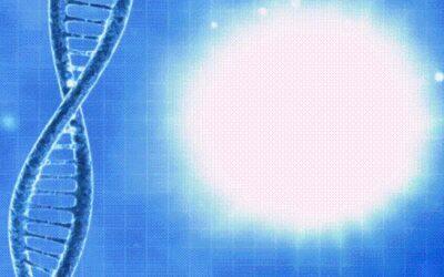 Shining a Light on DNA Sequencing