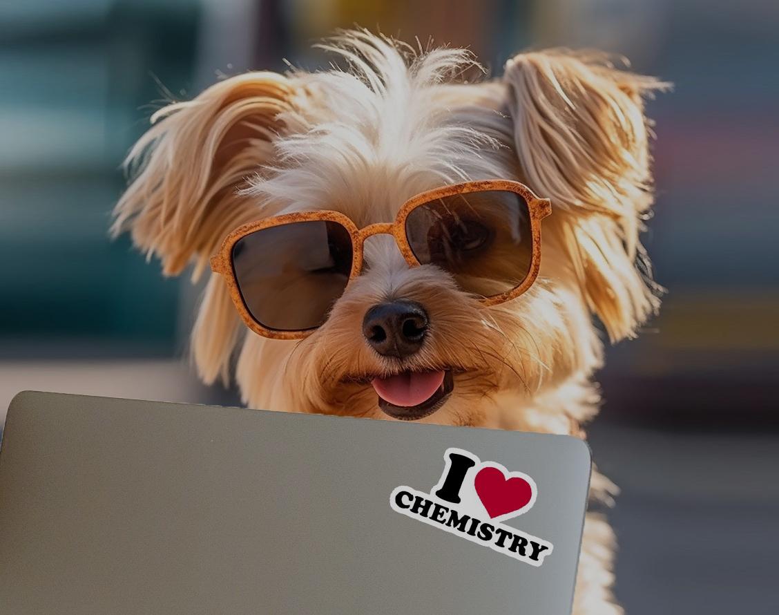 A dog wearing sunglasses and holding onto a laptop