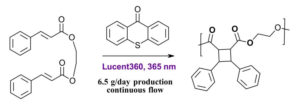 Lucent360 2024