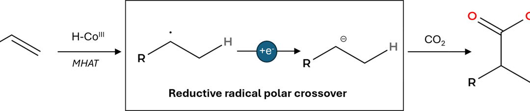 Inverting MHAT Polarity: Markovnikov Hydrocarboxylation of Styrenes with CO2