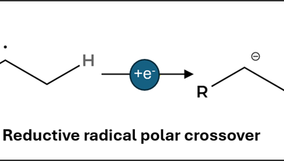 Inverting MHAT Polarity: Markovnikov Hydrocarboxylation of Styrenes with CO2