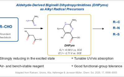Biginelli Dihydropyrimidines as Tunable Alkyl Radical Precursors