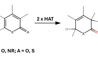 Birch-Type Reduction of 2-Pyridones Without Pyrophoric Metals: Energy-Transfer Catalysis in the EvoluChem PhotoRedOx Box Duo